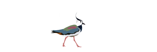 de Kievid